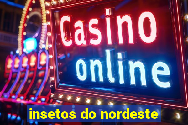 insetos do nordeste